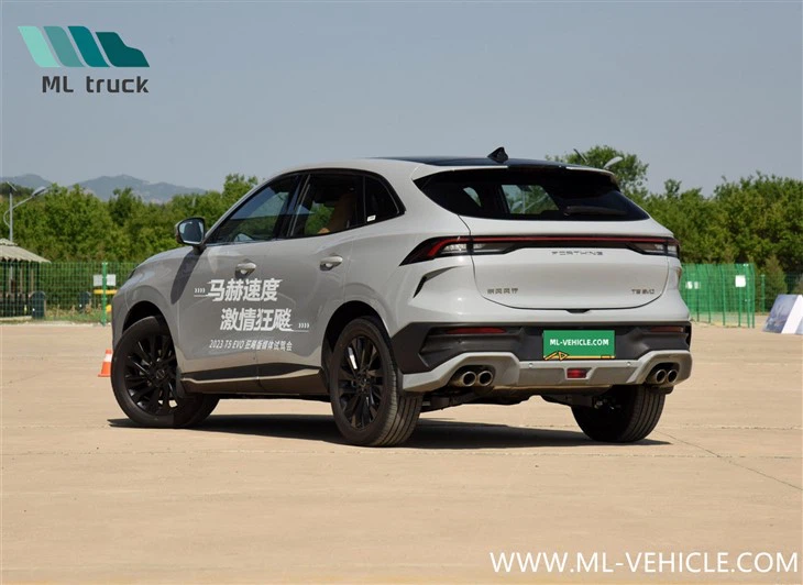DongFeng Forthing T5 EVO