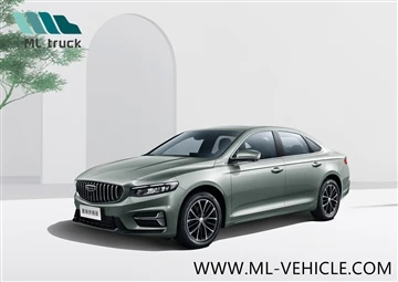 Geely Xingrui Fu Yao Edition pib muag ua ntej.