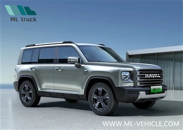 Haval B26 Cov duab raug tso tawm, Tej zaum hu ua Xianglong