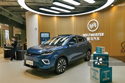 WM Motor Files For Bankruptcy Review