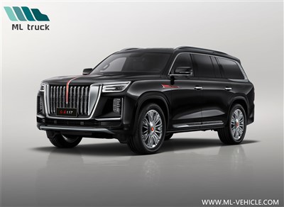HongQi LS 7