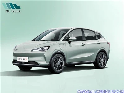 Neta V Electric Tsheb 2023