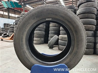 Camaro Snow Tires 205/65R15